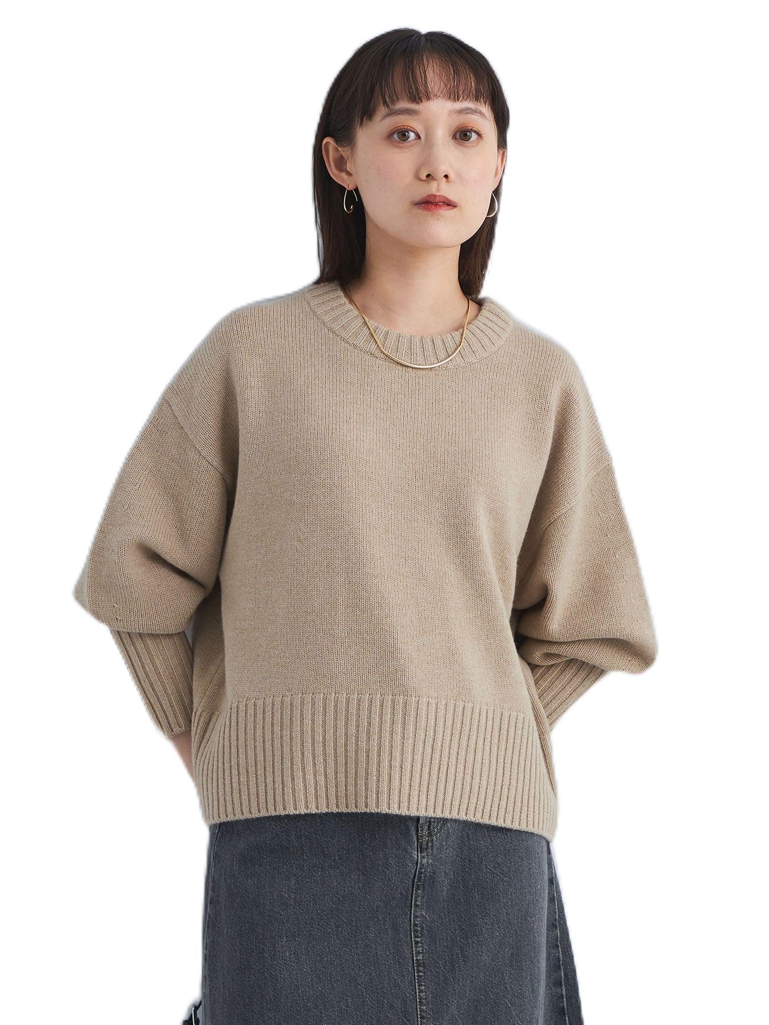 

United Arrows Green Label Relaxing Style Master Knit 36131192568 2350 Beige (23) M (38)