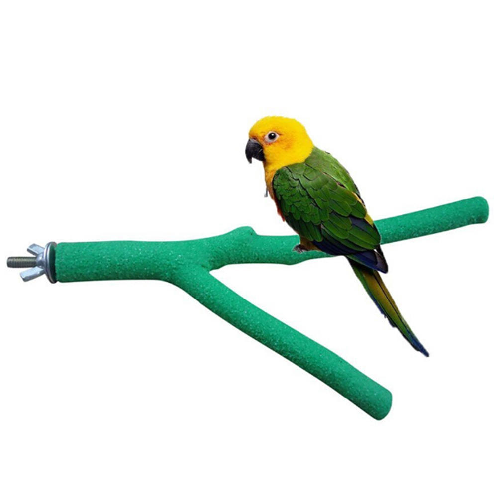 bird perches for parrots
