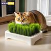 Pet Cat Grass Planting Basin Soilless Culture Wheat Seedling Pot Kitten Grass Hydroponic Device Horticultural Planting Pot