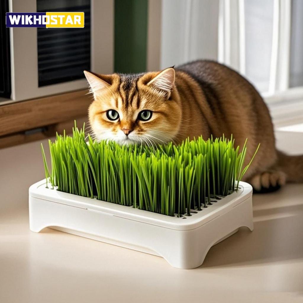 Pet Cat Grass Planting Basin Soilless Culture Wheat Seedling Pot Kitten Grass Hydroponic Device Horticultural Planting Pot