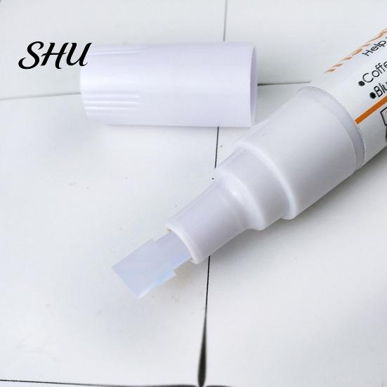 Penna Smacchiatore Senza Candeggina Ecologica Senza Odore Efficace Sicura per la Biancheria Intima Eraser Use Dimensioni Compatte Portatile Tessuto per Abiti Candeggina