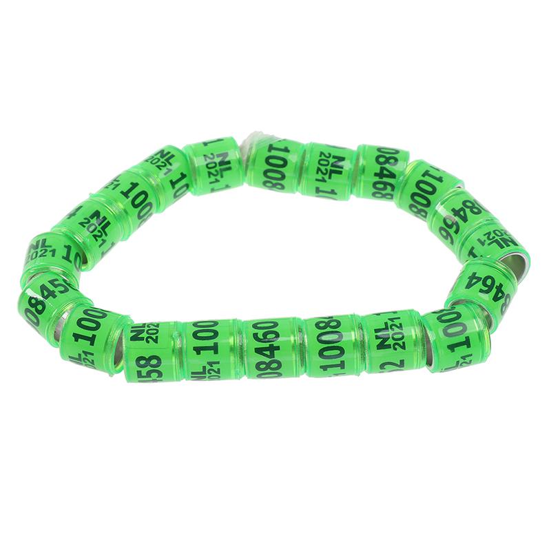 20 Pcs Pigeon Foot Ring With Word Earrings 2021 Multicolor Bird Tools