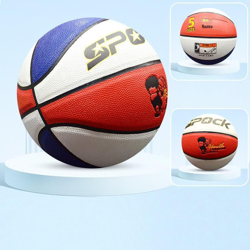 Dairian Indoor/Outdoor Basketball