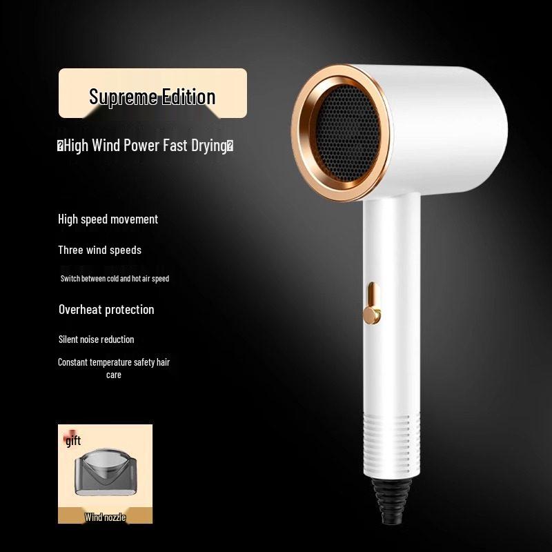 High Power Quiet Hair Dryer with Negative Ions for Salon or Dormitory Use