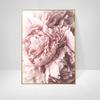 Pink Peony Flowers Paintings Posters Nordic Home Decor Oil Painting Posters And Prints Living Room Home Decor Canvas Wall Art