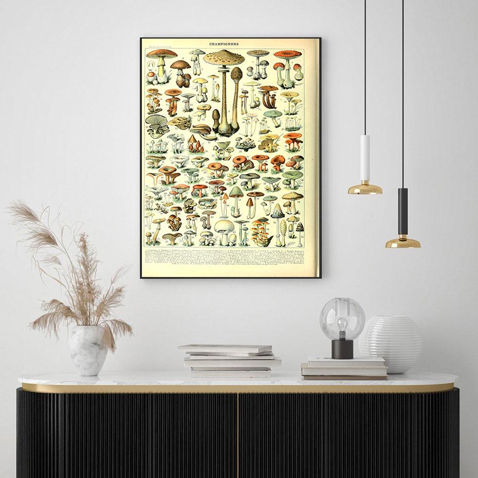 Vintage Vegetable Fruit Botanical Education Poster Mushrooms Chart Drawing Wall Art Canvas Painting for Living Room Decor Quadro