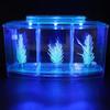 Three Areas Small Aquarium, Transparent Fish Tank, Desktop with Water Change Valve with LED Light for Betta Small Fishes(Blue)