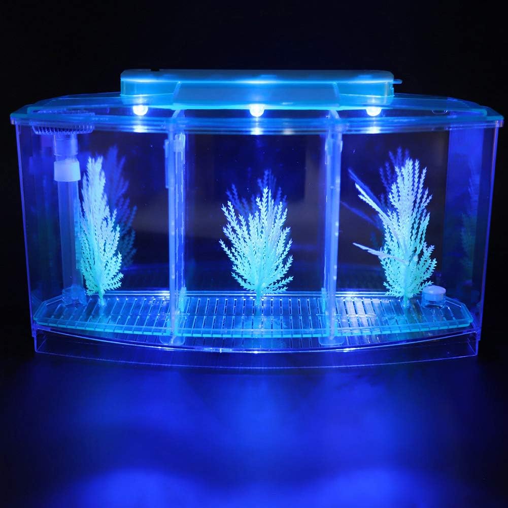 Three Areas Small Aquarium, Transparent Fish Tank, Desktop with Water Change Valve with LED Light for Betta Small Fishes(Blue)