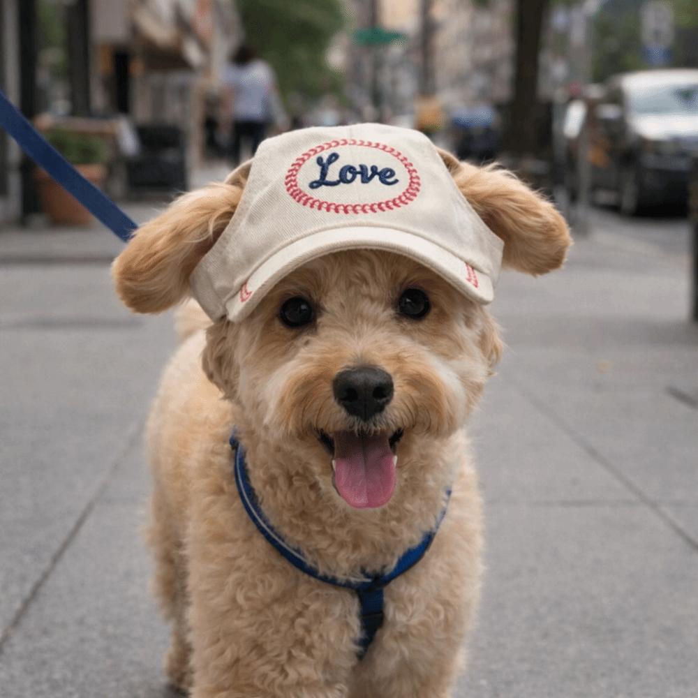 Cute Letter Embroidery Dog Sun Hat with Ear Holes Adjustable Strap Beach Visor Hat Puppy Sunbonnet Daily Photography