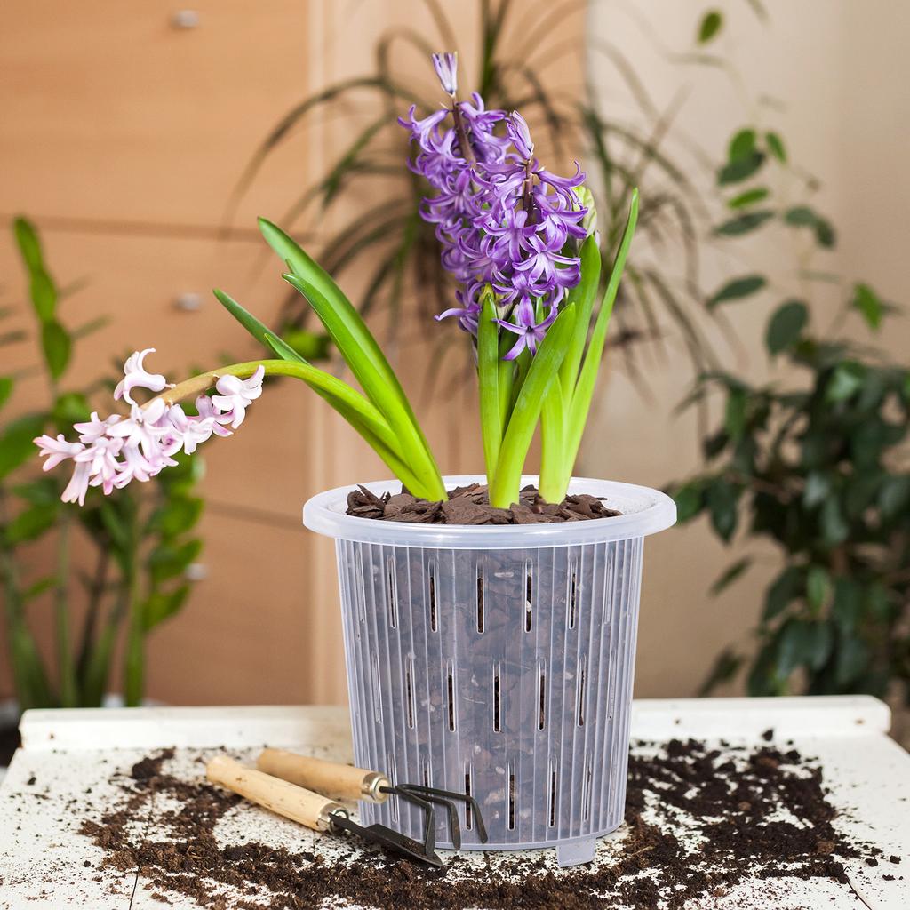 Meshpot Clear Plastic Orchid Pots For Flower Breathable Basin Orchid Planters Root Control Orchid Transparent Desktop Pot