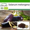 Bio - Lilek - Dlouhá fialová - 20 semen - Se substrátem pro lepší pěstování - Solanum melongena