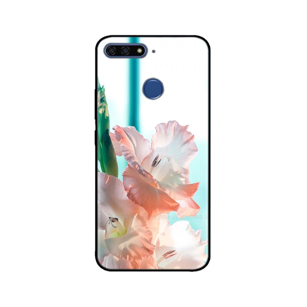 Honor 7c Case For Huawei Honor 7C Case Silicone Soft Cover For Honor 7A Pro AUM-L29 Honor7A Pro 5.7 7S 7C Pro Phone Back Cases