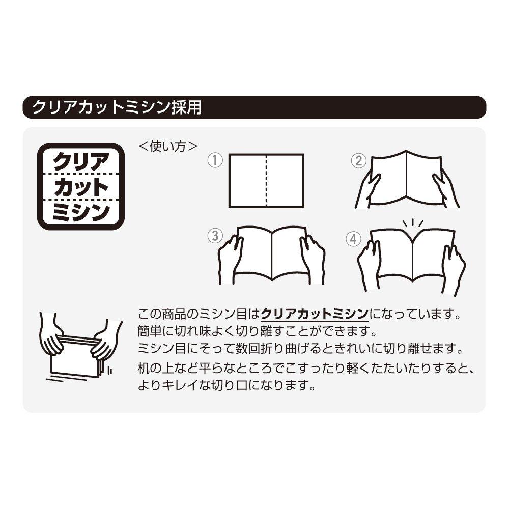 Hisago Business Cards, 10-Sided, Thick (100 Cards) BX06