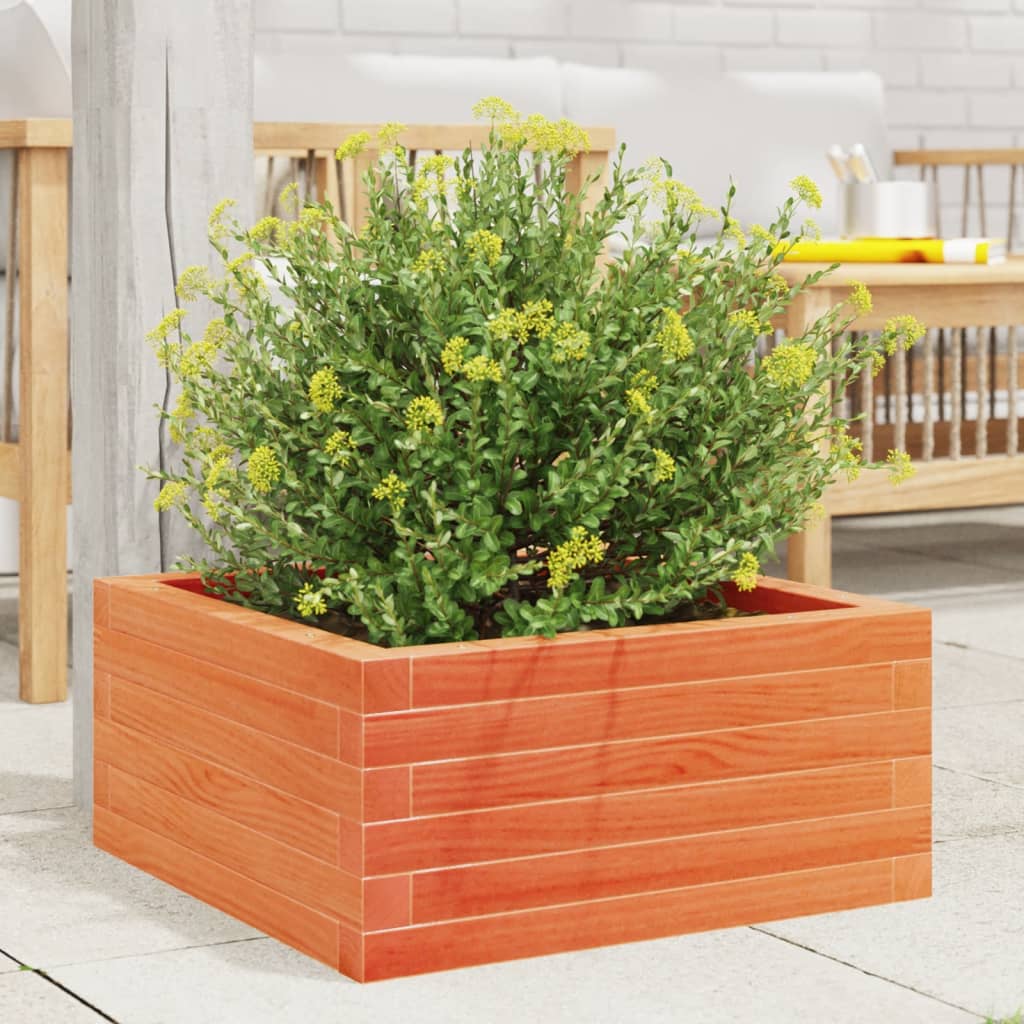 Plant Pot Wax Brown 60x60x23 cm Solid Pine Wood