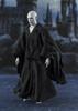 TAMASHII NATIONS Lord Voldemort Potter and the Goblet of Approximately 150mm PVC ABS Fabric Painted Movable Figure S.H.Figuarts (Harry Fire) & &