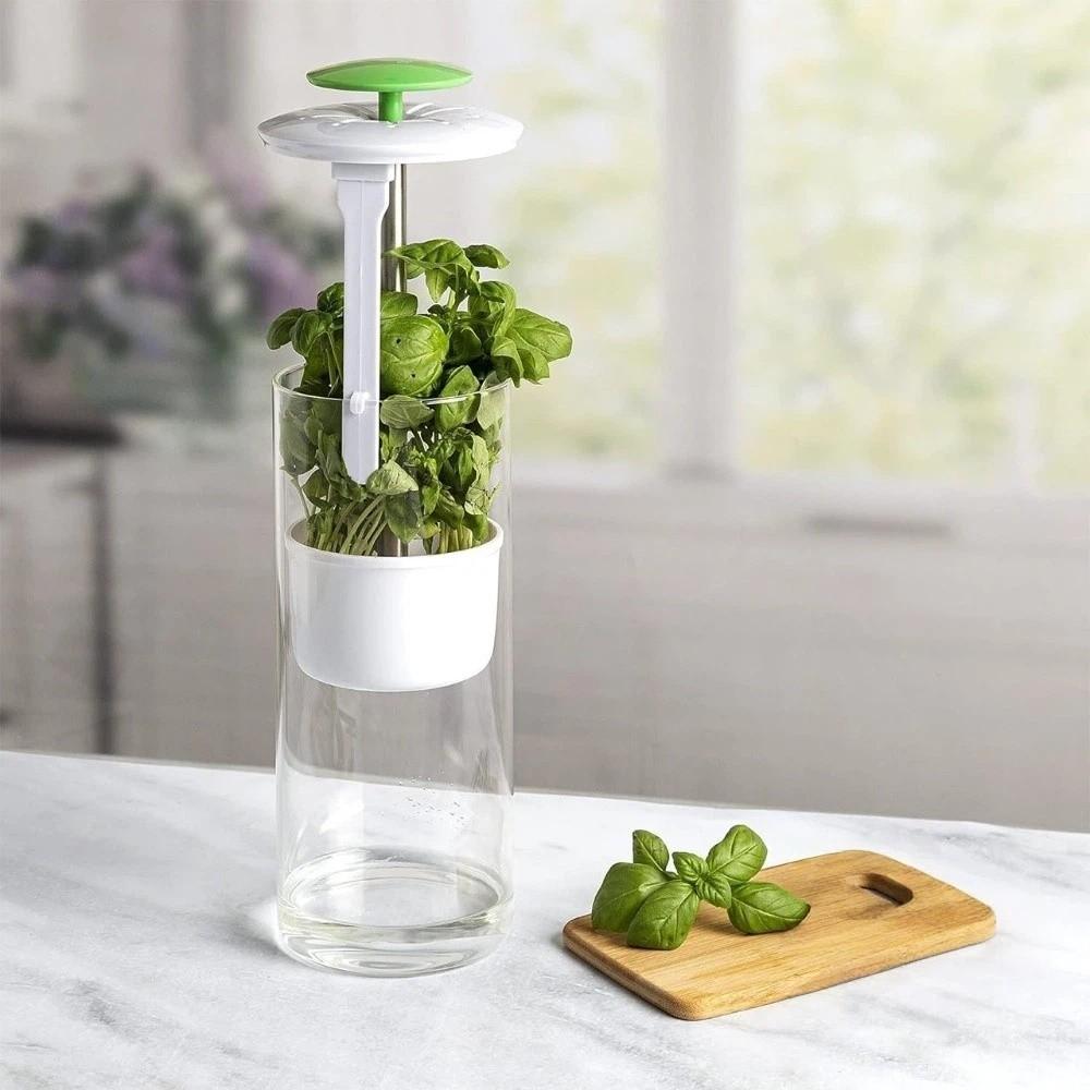 Anti-pressure Herb Saver Dust-proof Vegetables Preservation Bottle Cilantro Parsley Basil Mint