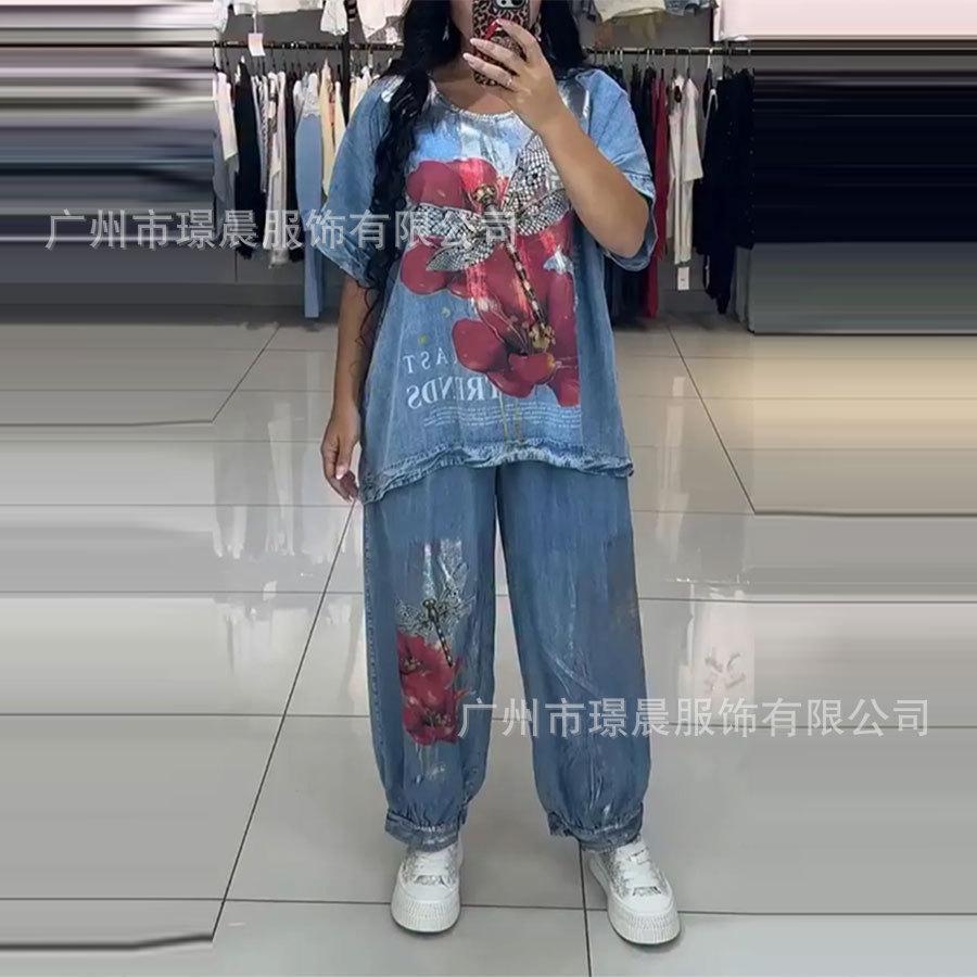 Ensemble de survêtement deux pièces ample pour femme, col rond, demi-manches, imprimé libellule et floral sur le haut, pantalon jogger à poignets élastiques, tenue décontractée aspect denim