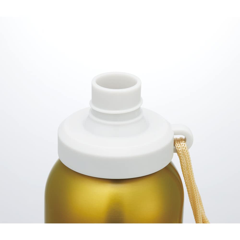 Skater Stainless Steel Water Single Room Healthy Mineral Tone Bottle, Layer, 580ml, Temperature, Drinks, GL, SSSC6-A