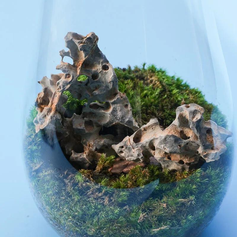1 Stück 4-6cm Natürlicher Aquariendekor Stein Felsengarten Landschaftsgestaltung Fischbecken Mikroporöser Stein Gut für Pflanzenwachstum