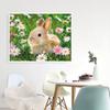 5D Diy Diamond Painting Mosaic Rabbit Daisy Full Square/Round Embroidery Animal Grass Home Decor