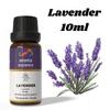 Ananta Lavendel ätherisches Öl 10 ml – Florales Aromaöl für Diffusoren, Kerzen und Raumduft