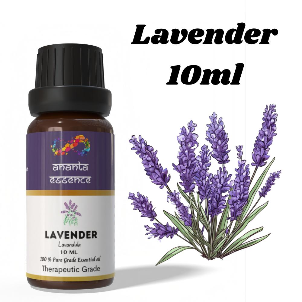 Ananta Lavendel ätherisches Öl 10 ml – Florales Aromaöl für Diffusoren, Kerzen und Raumduft