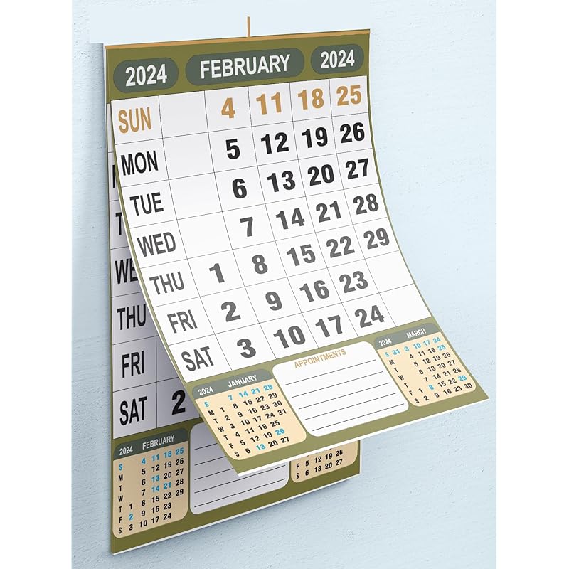 

AccuPrints 12 Pages 2025, 14 by 20 inch Offices Wall Calendar Large Dates with Space for Marks/Notes-Green Color 14 x 20 зелений