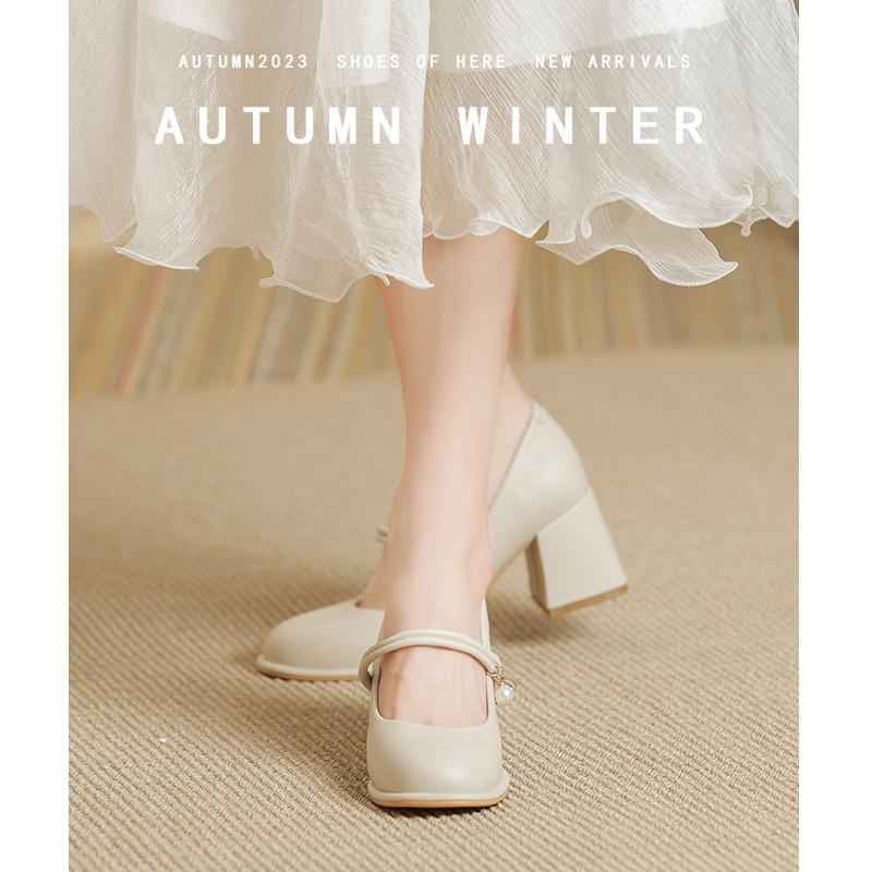 2025 Spring and Summer New French Small Fragrance Versatile High Heels Thick Heel Evening Shoes Mary Jane Women's Shoes Single Shoes