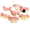 5 Ugly Gag Joke Rotten Dentures+ Kids Drinking Straw Novelty