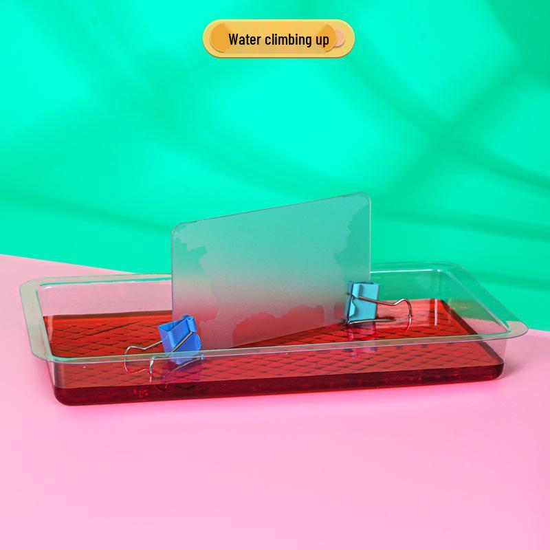 Handmade Capillary Action Physics DIY Kit - STEAM Teaching Aid