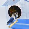 Bird Mirrors for Cage Plastic Mirror with Metal Hanging Hook 5.9 Inch Diameter Keeping Birds Occupied and Engaged