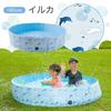 Folding No Inflation Required Smile Home 160x30cm Pool, [Kids' Pool] Dog, Pet, Balcony, Indoor, Use, 120x30cm, (160cmx30cm, Dolphin)