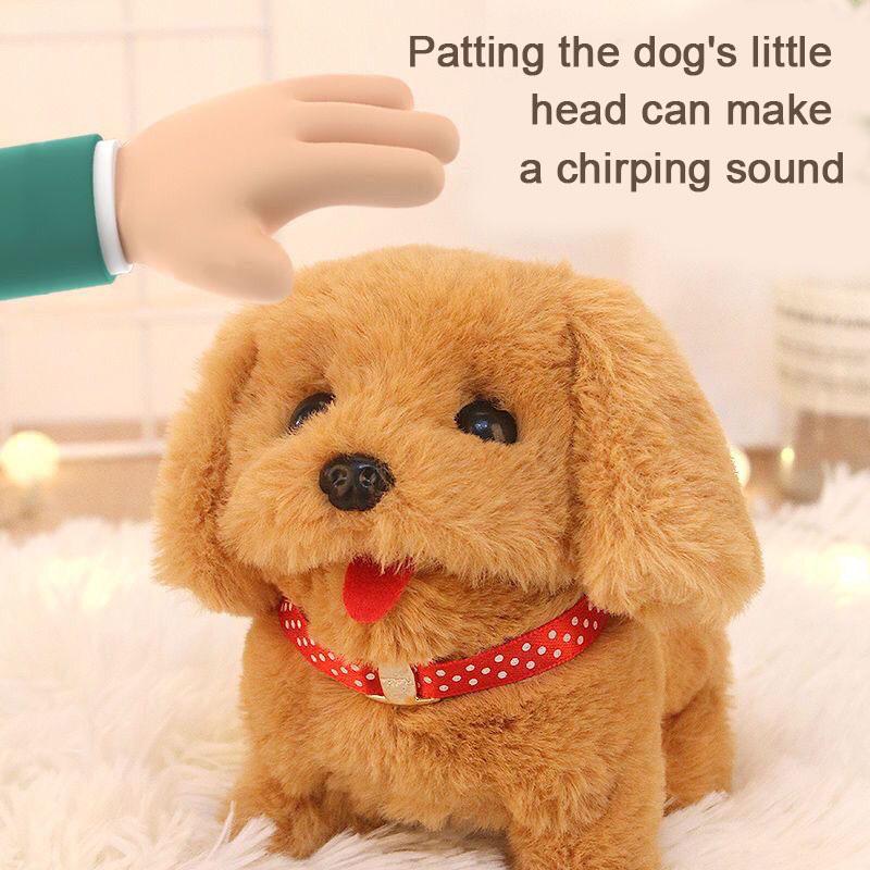 Elektrická hračka pro psa