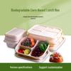 Biodegradable 3-Compartment Meal Prep Containers with Lids