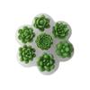 Decorative Creations Form Silikon Sukkulenten Pflanzenform für Kristall Epoxidharz Handwerk und Aromatherapie Kerze