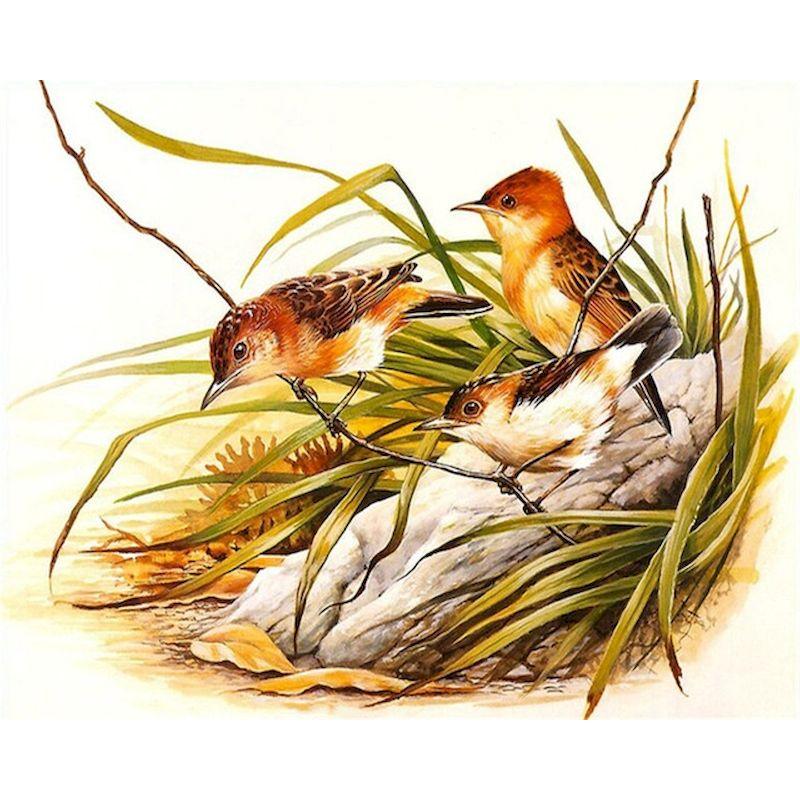 5d Full Diamond Painting Birds Mosaic Diamond Embroidery Creative Gift  Wall Paintings