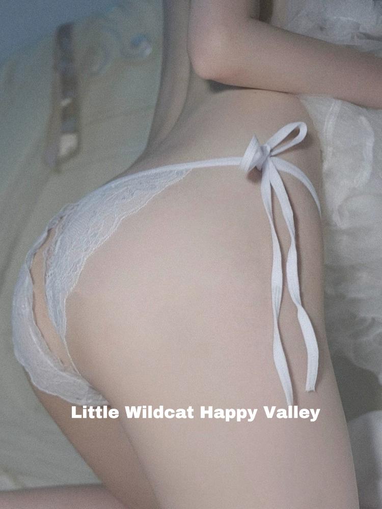 Sexy lace See-through beach Open Crotch Thongs Sexy Hollow Briefs ladies Bikini v Strap panties sexy lingerie for fine woman