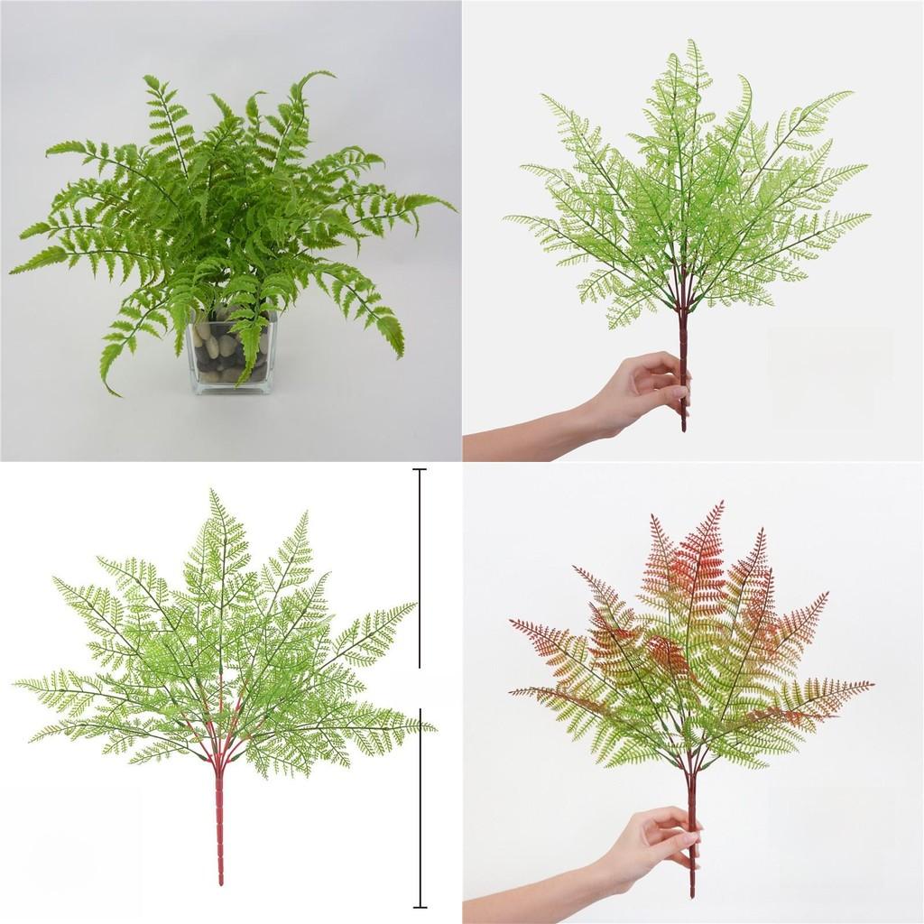 Faux Plastic Pteridium Aquilinum Var Latiusculum Plant Accessories For Gardening Photography And Interior Decoration