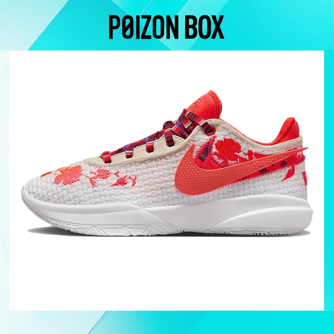 

кроссовки Mimi Plange x Nike LeBron 20 Premium EP Ceremony FJ0724-801