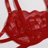 Lingerie Sexy Bra Set For Women  Costumes Exotic Set Sexy Underwear Lace Bra and Panty Garters Set