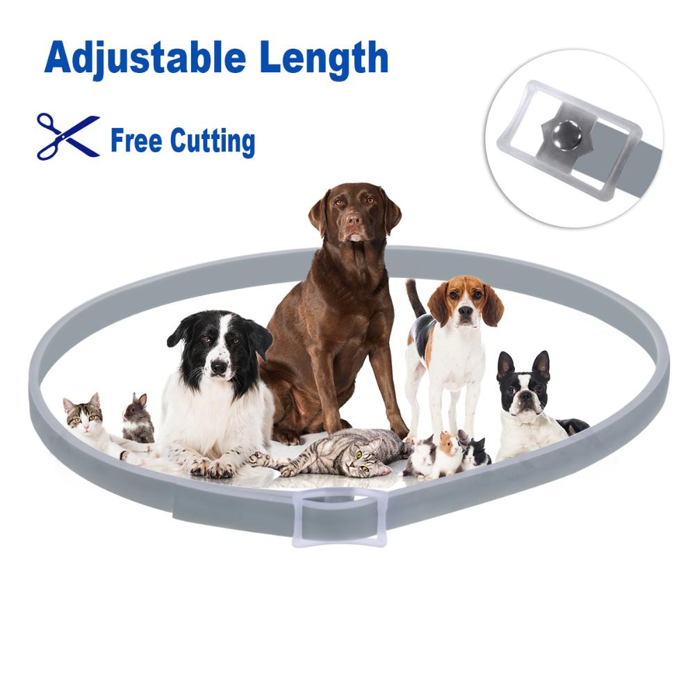 Silicone 8 Month Protection Anti-mosquitoes Flea And Tick Collar Insect Repellent Dogs Collar Cats