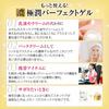 Hada Labo Kon Gokujyun All-in-One Perfect Gel 100g x 2 Set + Gokujyun Sachet