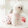 ins wind sweet wind mesh thin summer dog dress cat skirt small dog teddy pet clothes