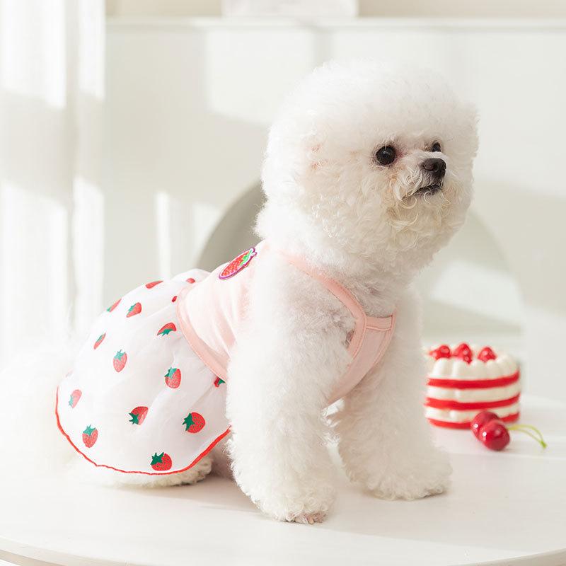 ins wind sweet wind mesh thin summer dog dress cat skirt small dog teddy pet clothes