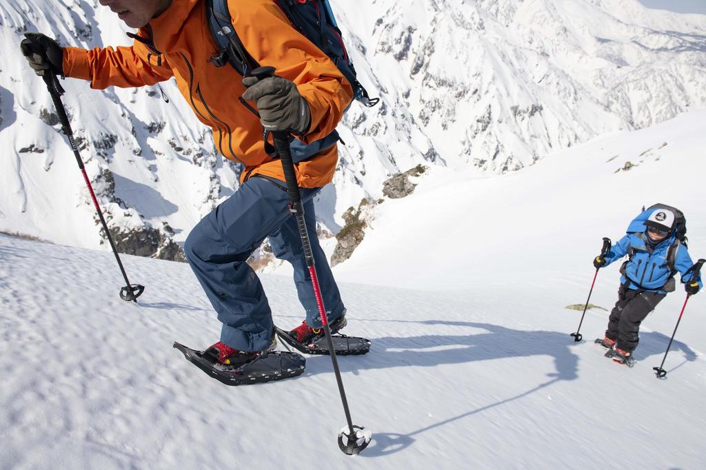 MSR Ski Pole Backcountry Dynarock Ascent cm Japanese 40237 (MSR) 120~140 [Genuine Product]