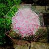 Thickening Transparent Three Fold Rain Umbrella Japanese Cherry Blossom Plastic PVC Clear Sakura Falbala Umbrellas Women Parapluie Princess Parasol