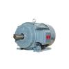 Wannan Motor TYCP2 Serie Dreiphasen-Frequenzumrichter-PMS-Motor