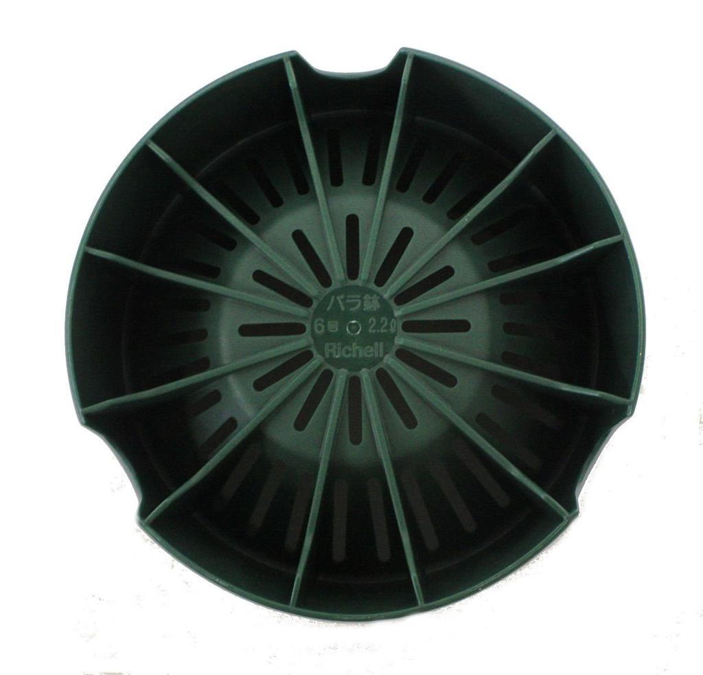 Richelle Rose Pot No. 6 Dark Green