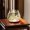 Modern Round Fish Bowl PET Plastic Perfect As Desktop Or Table Decoration For Kids And Adults