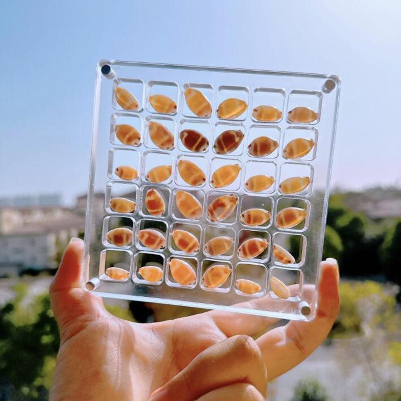 1Pc Rock Collection Box For Bead Nail Jewelry Acrylic Magnetic Seashell Storage Box 36/64 Grids Small Craft Organizers Container